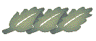 ・・・